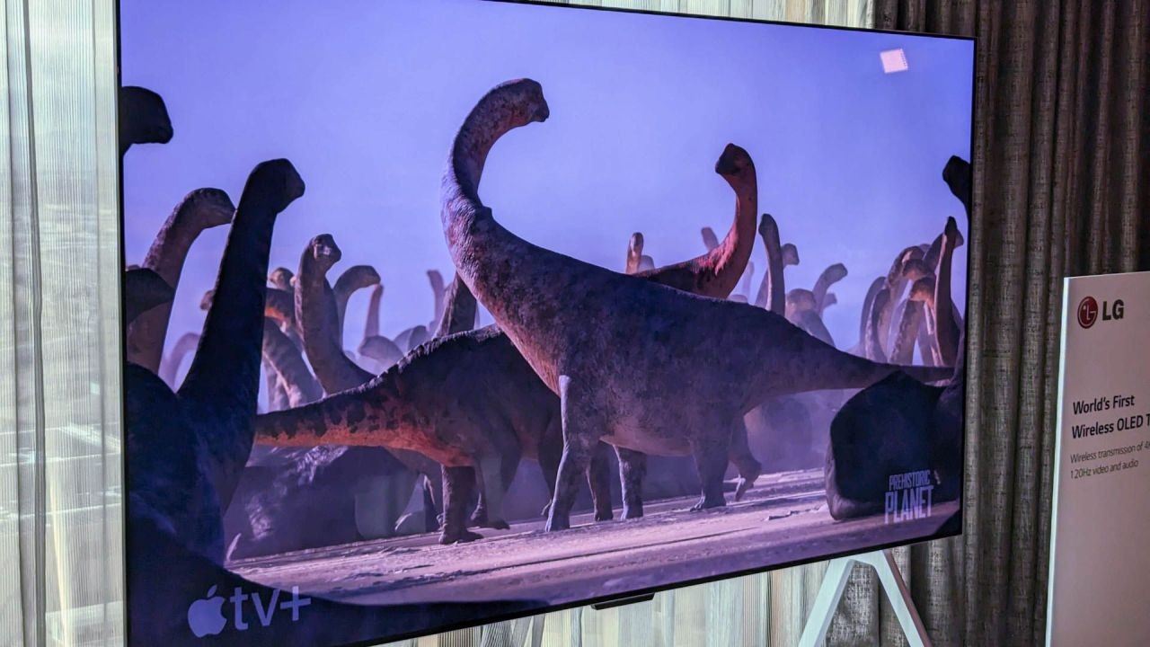 The Best OLED TVs of 2024