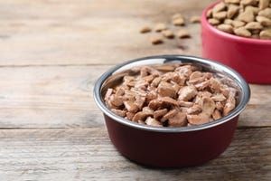 Salmonella and Listeria Found in 2 Pet Food Brands: Everything to Know