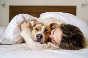 How to Share Your Bed With Pets Like a Pro: A Round Up of Our Experts' Advice