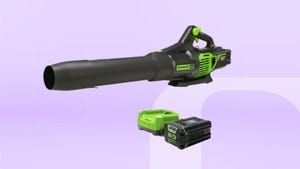 Our Favorite Electric Leaf Blower Is $80 Off at Best Buy Right Now