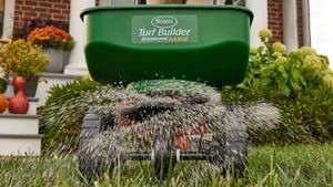 4 Ways to Prepare Your Lawn for Winter, According to Experts