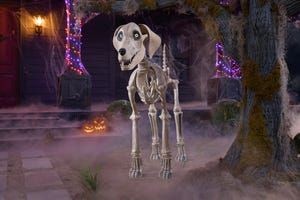 Home Depot's 12-Foot Skeleton Adds a Doggy Friend to His Spooky Universe