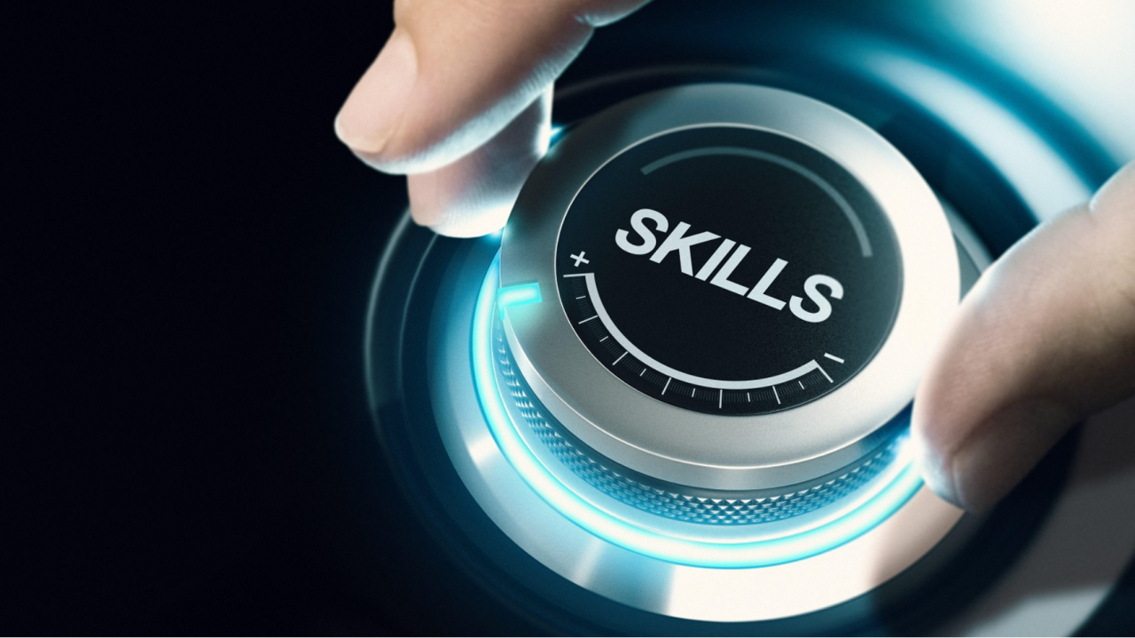 ERP Skills Outpace AI in 2024 as Demand for IT Strategy Soars