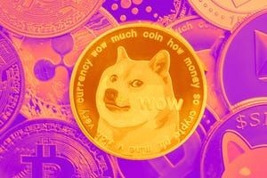 Dogecoin Surges Following Elon Musk News. What's Going on With This Popular Meme Coin?